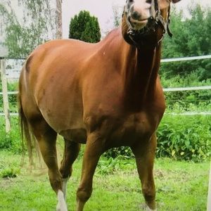 Meet your Posher, Zoe